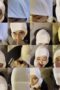 Jilbob Jasmine Crot dimuka