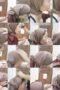 Ukhty Hijab lucsme blowjob Indo